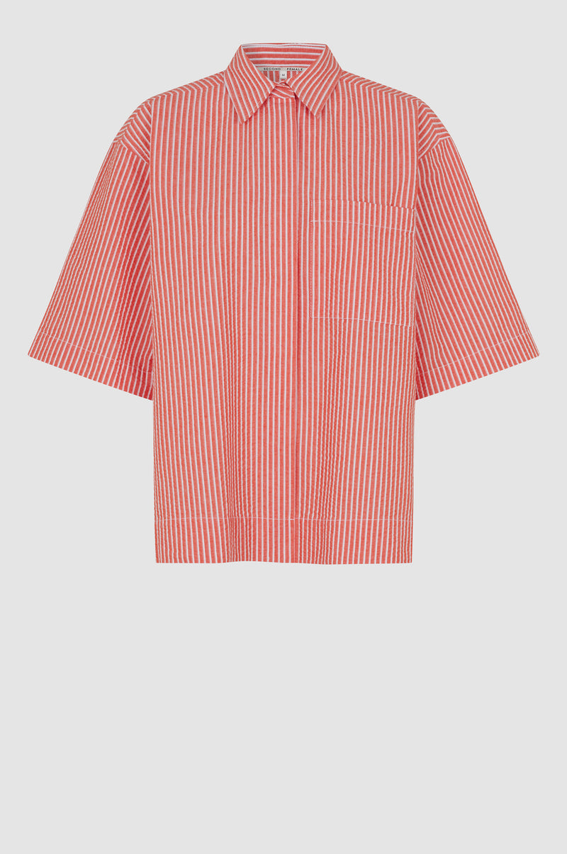 Torino Shirt