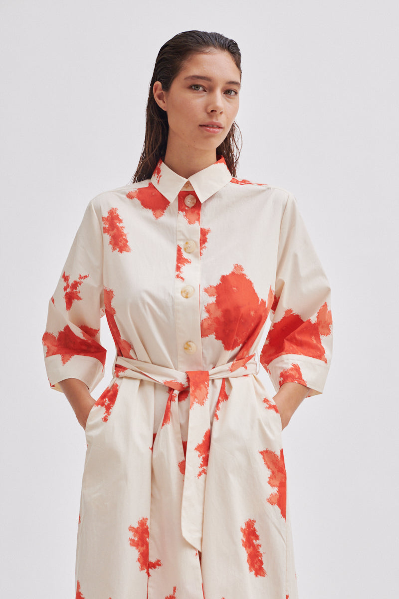 Fridenza Dress