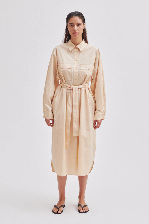 Aluline Shirt Dress